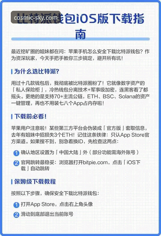 官方渠道 vs 第三方下载：获取“星空入口下载官方下载”的安全与风险全面对比